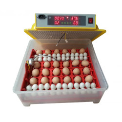 Automatická digitální líheň WQ-36, pro 36/144 vajec, bazarové zboží