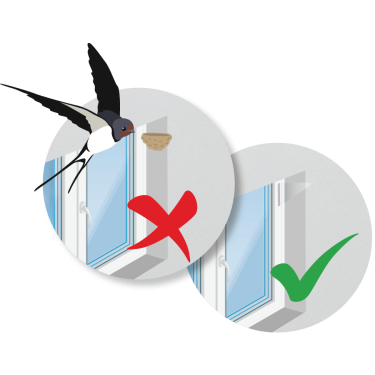 Prevence hnízdění ptáků na okně 