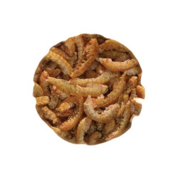 UGF Sušený gammarus 20g