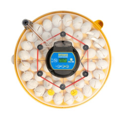 BRINSEA Maxi 48 EX - plně automatická líheň pro slepice, křepelky i husy