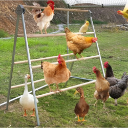 Dvojitý hřad pro slepice – nastavitelný dřevěný hřad, komplet se 7 tyčemi