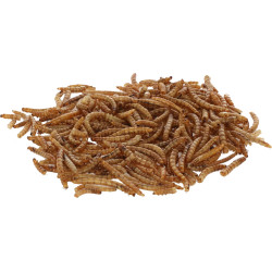Sušené larvy potemníka moučného, 900 g, Kerbl