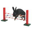 Agility skok pro hlodavce