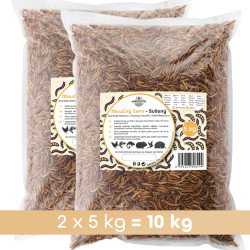 Moučný červ 10 kg
