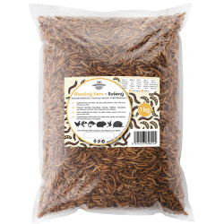 Moučný červ 1 kg