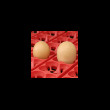 Líheň kuřat COVINA SUPER ET12 (EGG TECH), digitální automatická, s dolíhní  