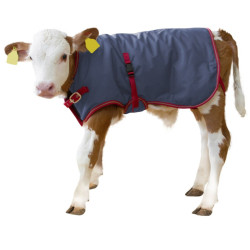 Termodeka na telata ThermoPlus, 80 cm  