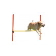 Kerbl agility překážky pro psy, sada, 3 typy  