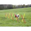 Kerbl agility překážky pro psy, sada, 3 typy  