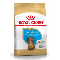 Royal Canin Breed Jezevčík Junior 1,5kg