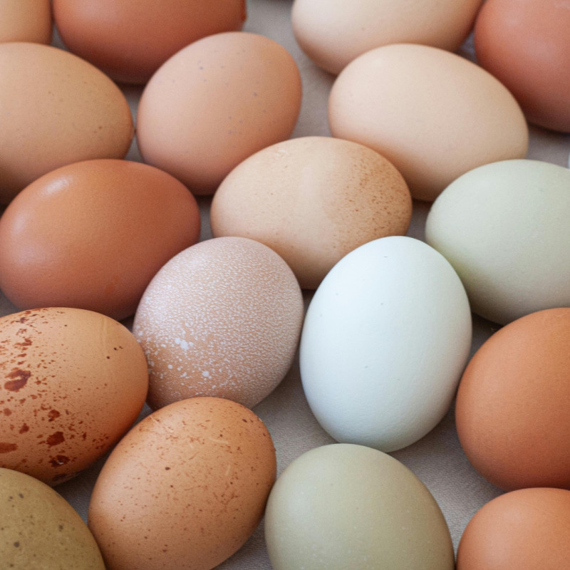 Velikonoční slepice: barevná vajíčka bez barvení