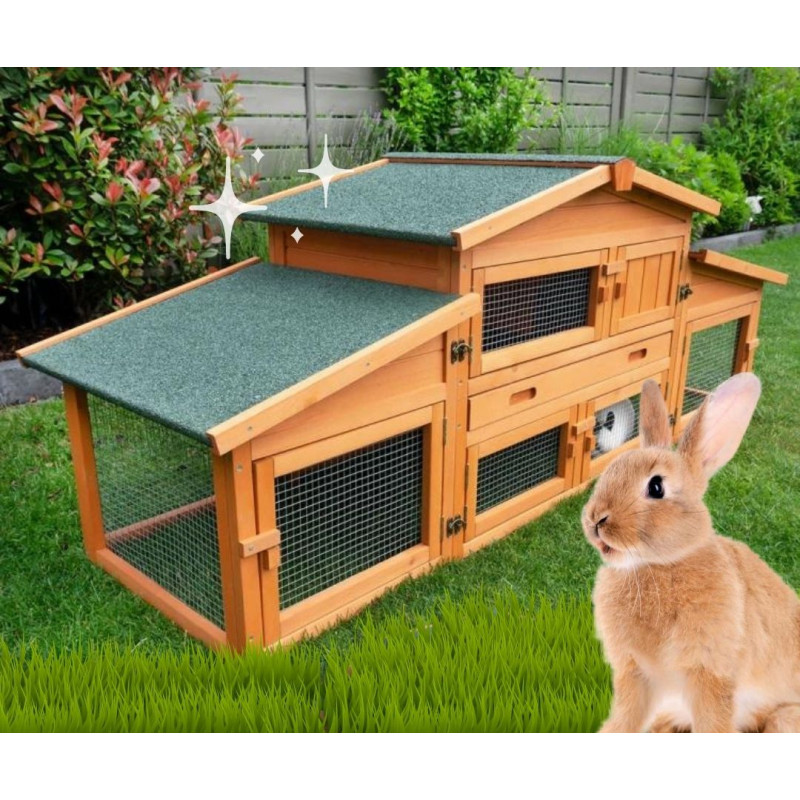 Tipy, jak na zahradě začít chovat králíky