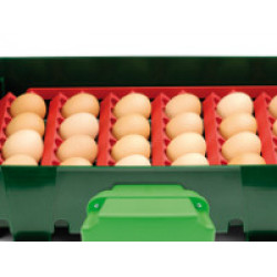 Sada držáků vajec pro líhně Covina/ET49, Real 49